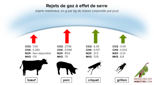 Rejets de gaz à effet de serre