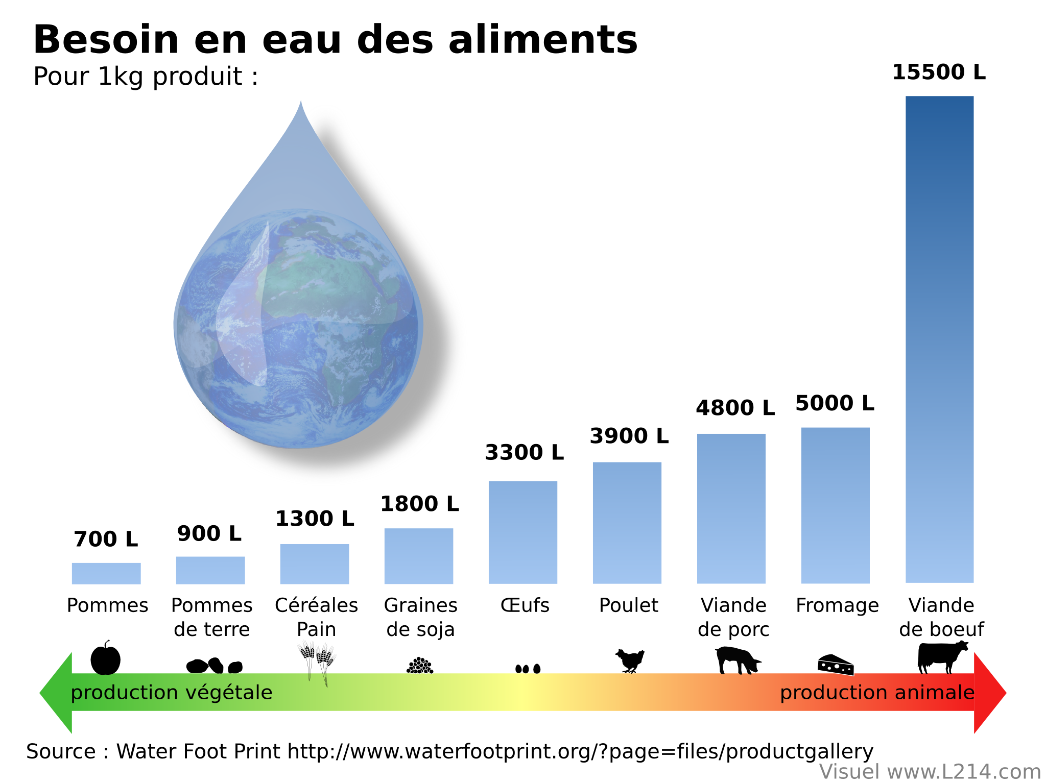 Besoin en eau des aliments