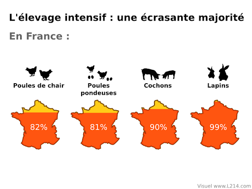 L'élevage intensif en France